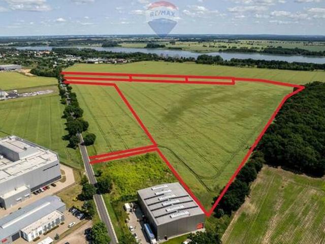 17 ha | MPZP P U | 1,5 km do A2 | Niepruszewo