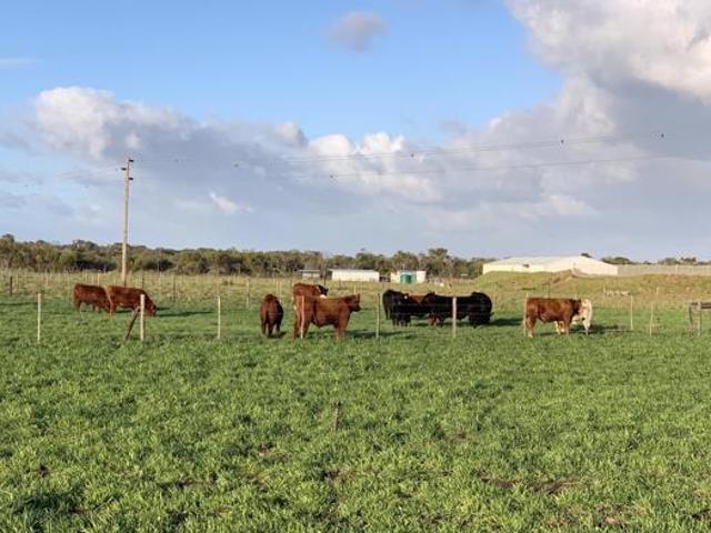 17 ha Smallholding in St Francis Bay