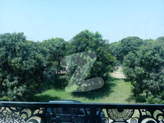 17 Kanal Farm House Available For Sale Band Bosan