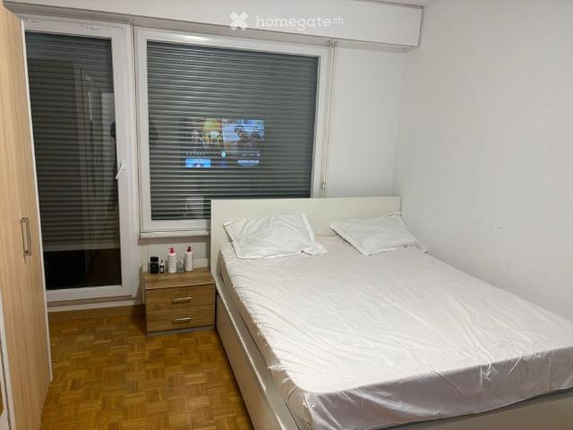 17 m²