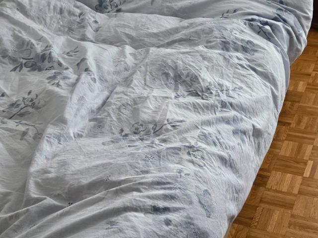 17 m²