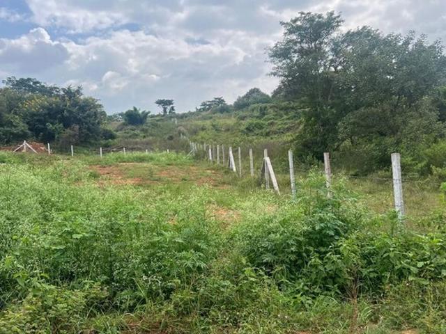 14000 Sq.Ft. Plot in Richards Town Bangalore Listing ID: #10013
