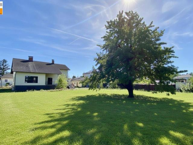 > > Ein Garten, der keine Wünsche offen lässt I MB IMMOBILIEN