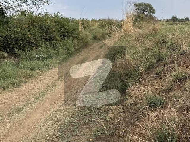 140 Kanal Agricultural Land Is Available For sale In Balkasar
