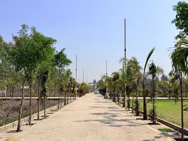 140 Sq.Ft. Plot in Biharigarh Dehradun Listing ID: #10257