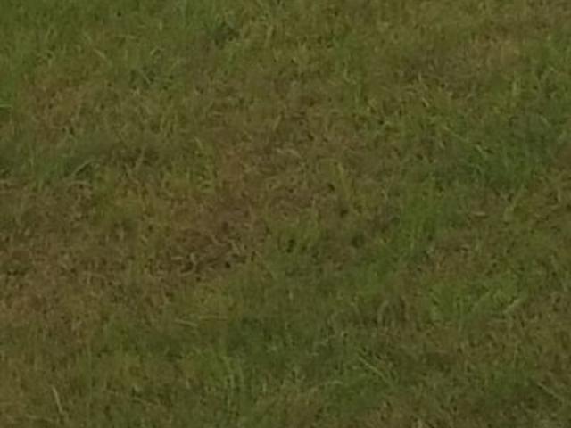 140 Sq.Yd. Plot in Shaheed Bhagat Singh Nagar Ludhiana Listing ID: #10358