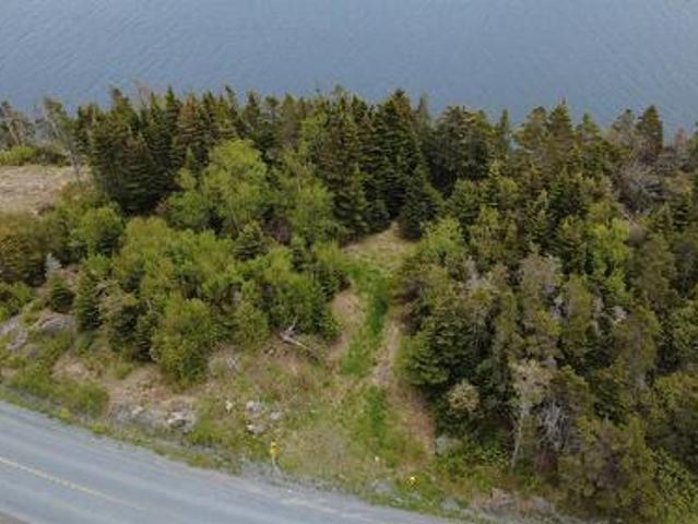 141 143 Ferndale Road, Ferndale, NL, A0B 2G0 vacant land for sale | Listing ID 1298 | Royal LePage
