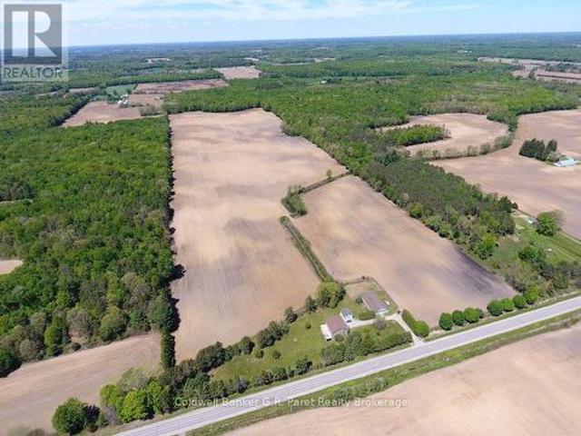 141 24 Highway E, Norfolk, ON, N0E 1P0 farm for sale | Listing ID X12643 | Royal LePage