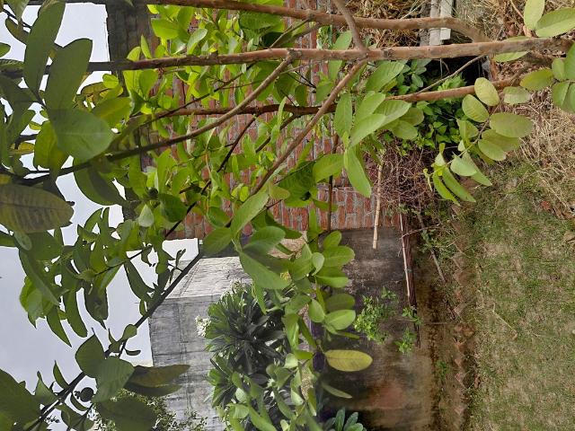 143 Sq.Mt. Plot in New Moradabad Listing ID: #10241