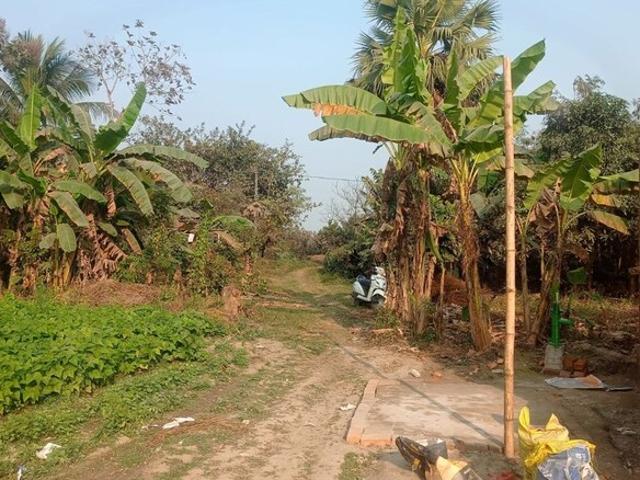 1443 Sq.Ft. Plot in Kolkatta Gpo Kolkata Listing ID: #10265