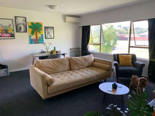 144C Edinburgh Street, Pukekohe, Franklin