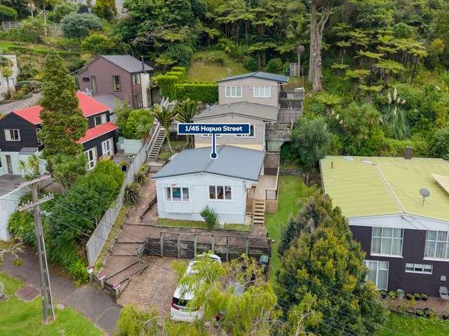 1/45 Hapua Street, Remuera, Auckland City