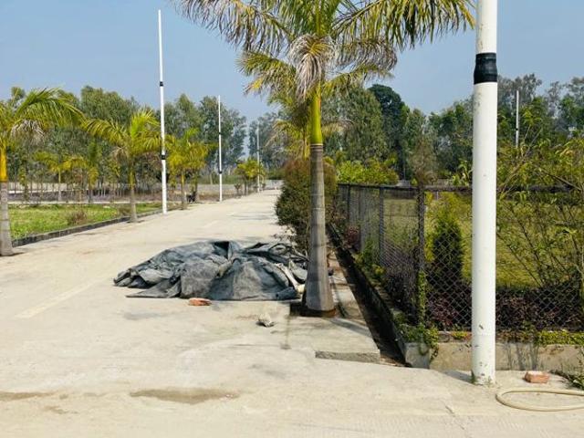 145 Sq.Yd. Plot in Biharigarh Dehradun Listing ID: #10348