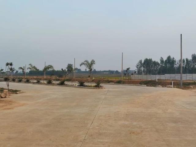 145 Sq.Yd. Plot in Lalru Mohali Listing ID: #10382