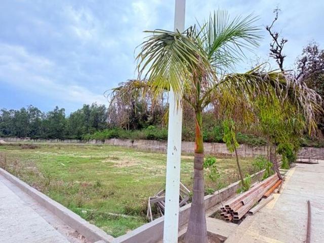 146 Sq.Yd. Plot in Biharigarh Dehradun Listing ID: #10276