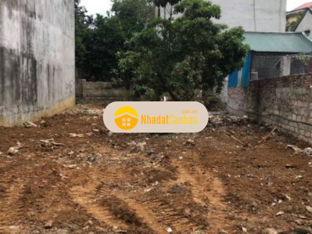 146m2 36m odt bám đường to tk12 lương sơn hoà bình