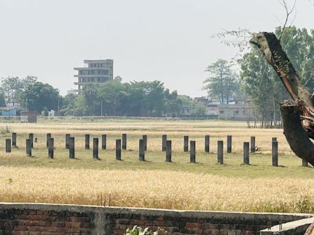 1475 Sq.Ft. Plot in Baronwala Dehradun Listing ID: #10259