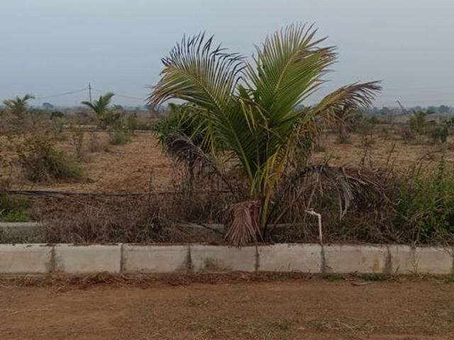 147 Sq.Yd. Plot in Chintapalli Hyderabad Listing ID: #10024