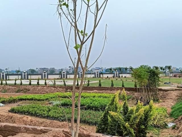 147 Sq.Yd. Plot in Panchkula Urban Estate Panchkula Listing ID: #10110
