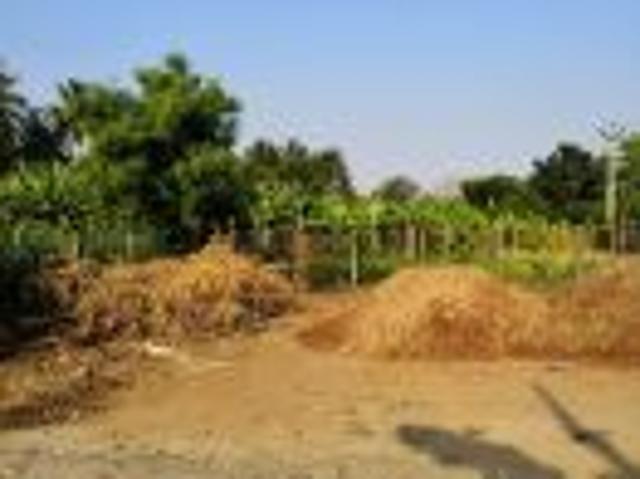 1488 Sq. ft Plot for Sale in Shanthi Medu, Coimbatore