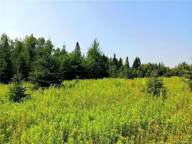 1496 Route 390, Gladwyn, NB, E7H 4R7 vacant land for sale | Listing ID NB144656 | Royal LePage