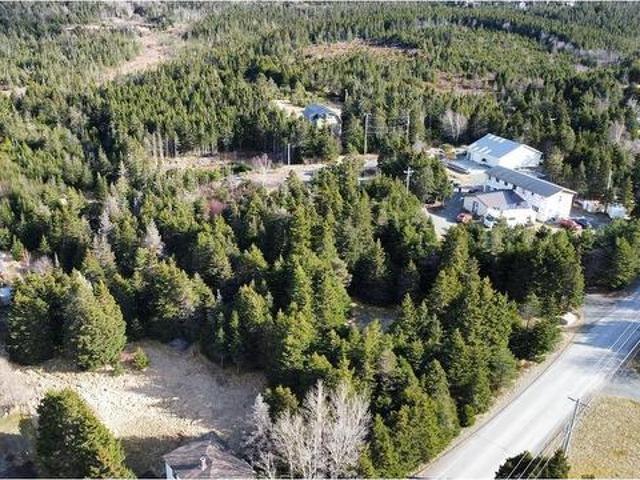 149 Springfield Road, South River, NL, A0A 3W0 vacant land for sale | Listing ID 1301 | Royal LePage
