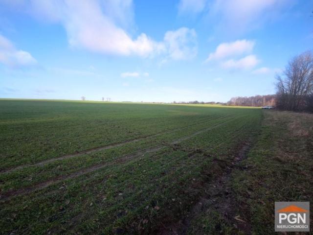 14 1 000 m², Połchowo
