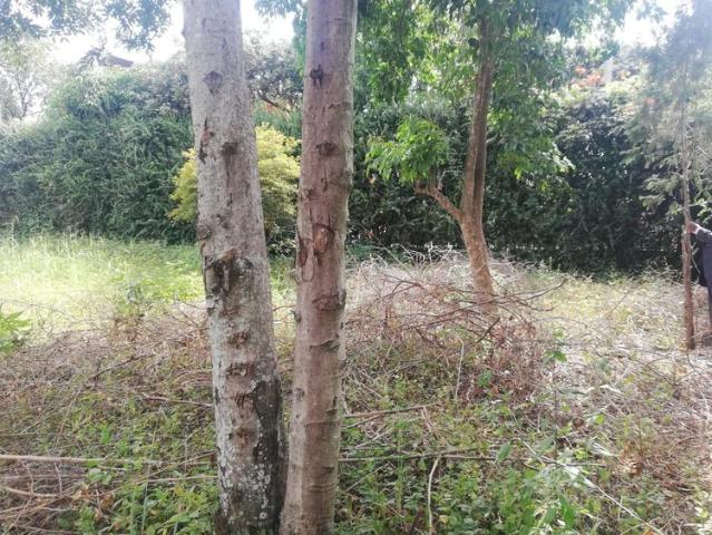 1/4 acre for sale in Membley