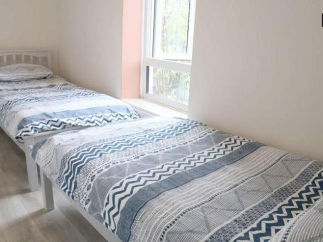 14 Bedroom Shared Living Dublin Dublin D07 P7W1 101817533