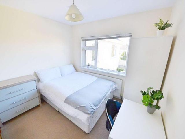 14 Bedroom Shared Living Dublin Dublin D6W YD73 91021878