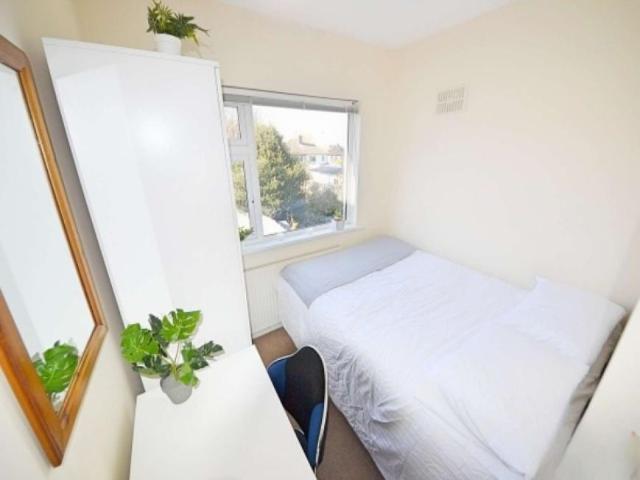 14 Bedroom Shared Living Dublin Dublin D6W YD73 101816298