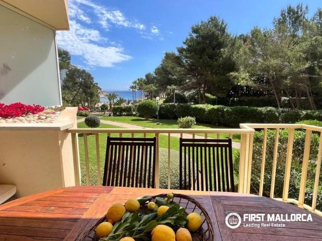 14 Carrer del Sol, Calvià, Balearic Islands 07181