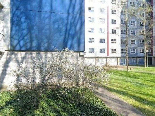 14 m2 room for rent in Nijmegen
