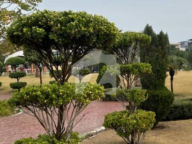 14 marla plot for sale in faisal town block c