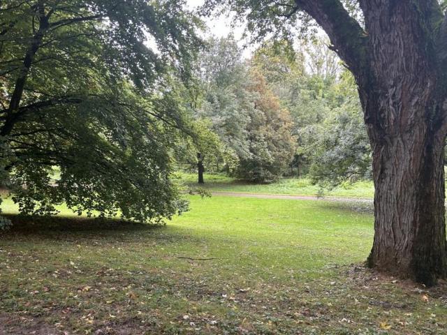 14 Schlafzimmer Haus Frankfurt Am Main Deutschland LS90392824