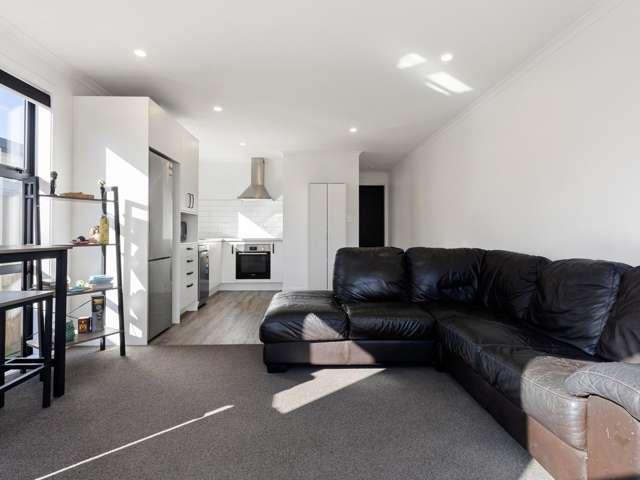 1/4 Searancke Place, Fairfield, Hamilton City