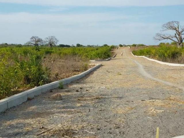 1/4ac 100 by 100 3rd Row Beach Vipingo KILIFI