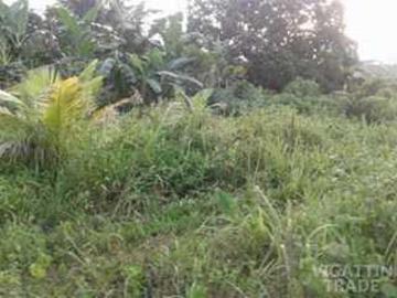 150000 sqm San Lorenzo guimaras property