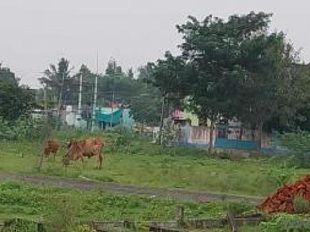 1500 Sq. ft Plot for Sale in Maraimalai nagar, Chennai