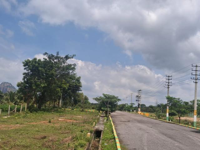 1500 Sq.Ft. Plot in Channarayapatna Bangalore Listing ID: #9939