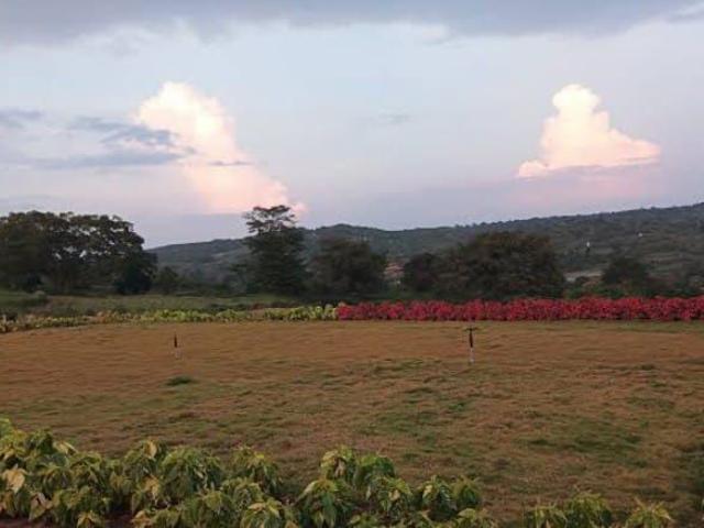 1500 Sq.Ft. Plot in Gauribidanur Bangalore Listing ID: #9897