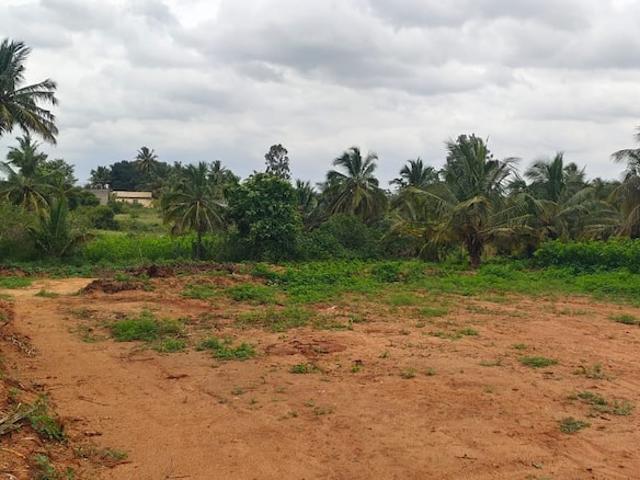 1500 Sq.Yd. Plot in Sanjay Nagar Bangalore Listing ID: #9092