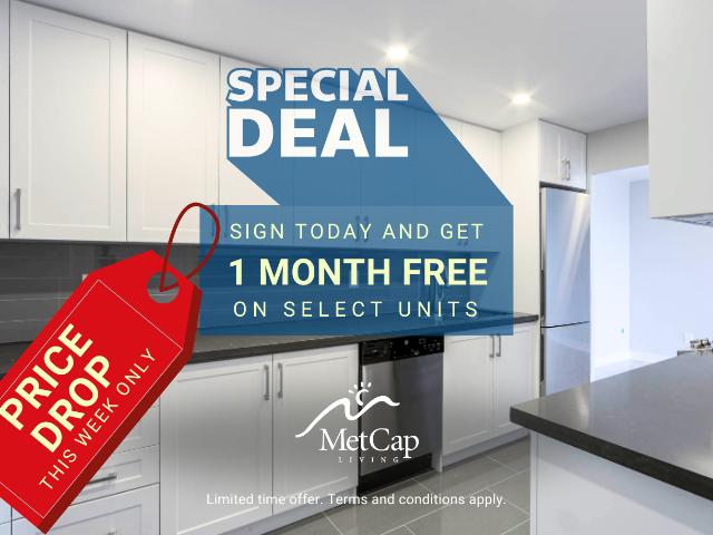 1501 Woodbine Avenue East York Newly Renovated 1 Bedroom [object Promise] for Rent