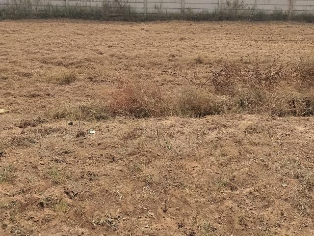 150 Sq.Yd. Plot in Sector 19 Dharuhera Listing ID: #10263