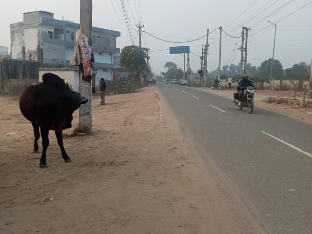 1545 Sq.Ft. Plot in Sohna Road Gurgaon Listing ID: #8734