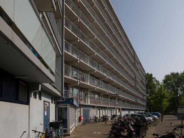 154, Condorhorst, 2317 AZ, Leiden