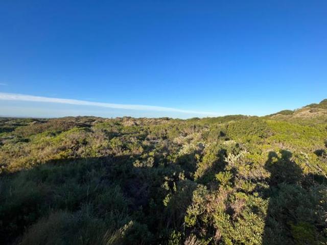 155 ha Land available in Paradise Beach
