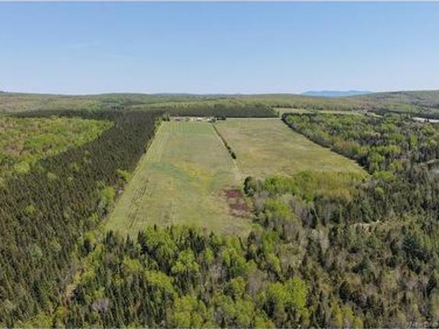 155 Rang 16 Tier Sud Rd, Saint Quentin, NB, E8A 2H6 vacant land for sale | Listing ID NB140661 | Royal LePage