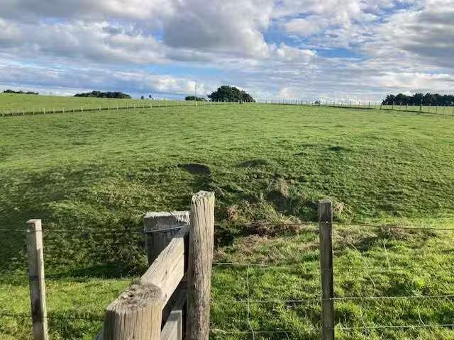 156 Morrison Road, Pukekawa, Waikato District Real Estate