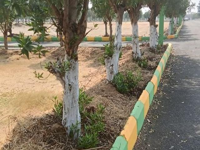 156 Sq.Yd. Plot in Bhongiri Warangal Highway Hyderabad Listing ID: #10115